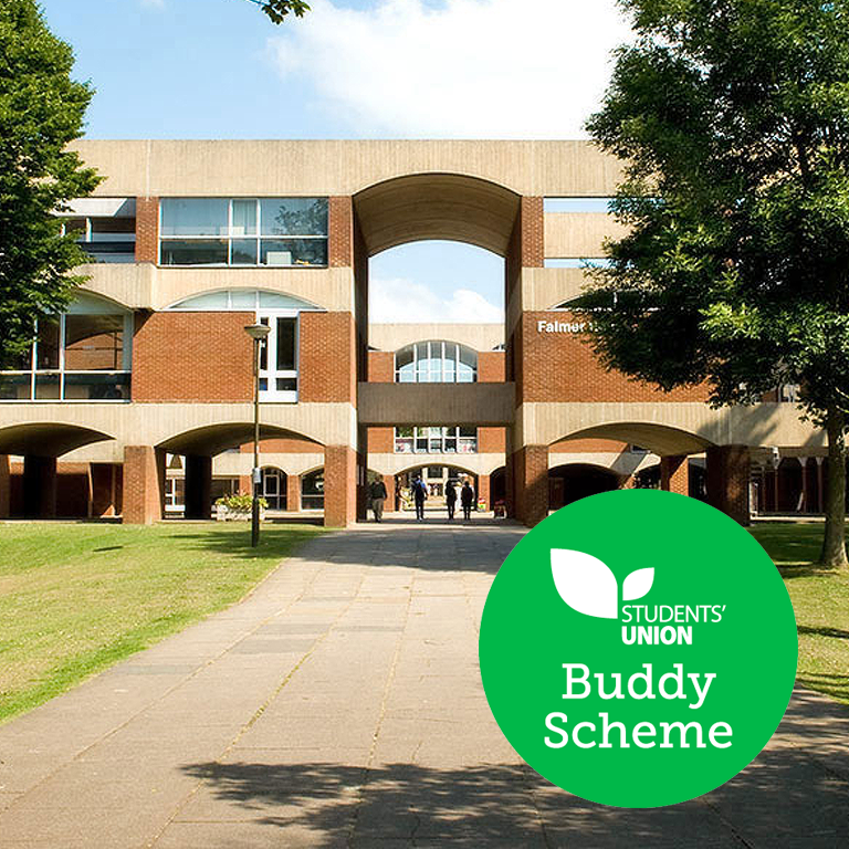 What is the Buddy Scheme?