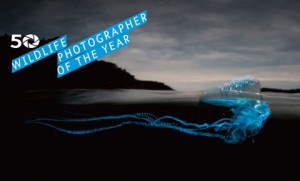 Wildlife Photography of the Year